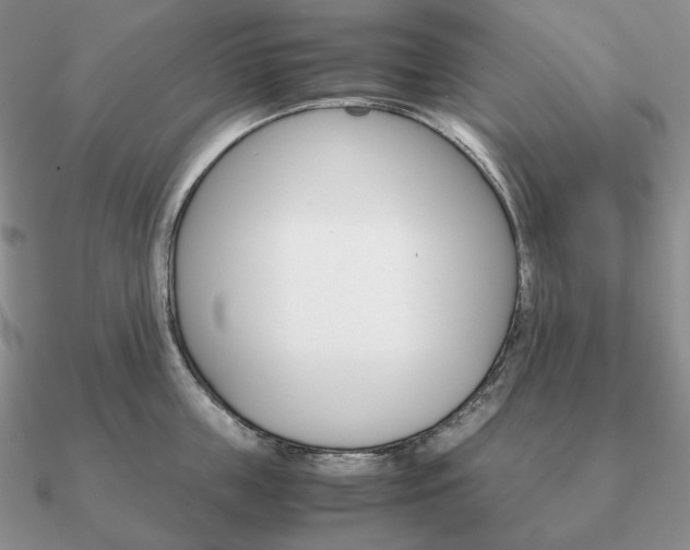 X0000090920859200708061541