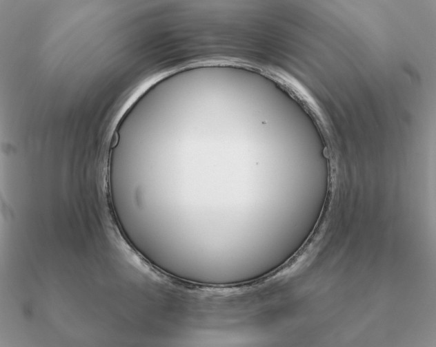 X0000090920860200708061541