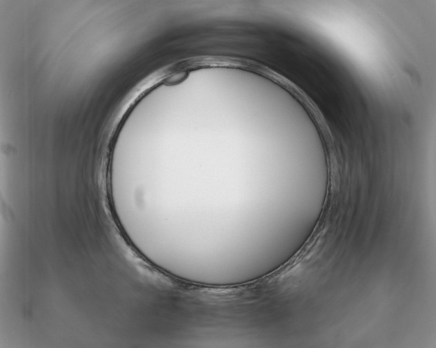 X0000090920861200708061541