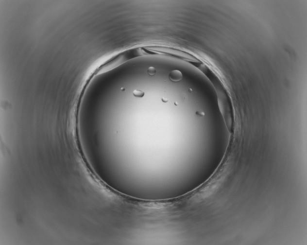 X0000090920862200708061541