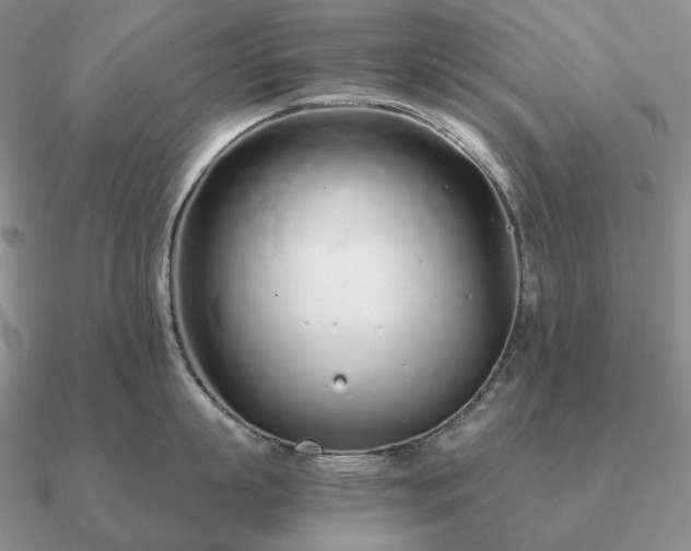 X0000090920863200708061541