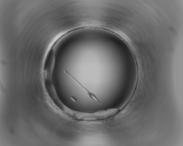 X0000090920864200708061541