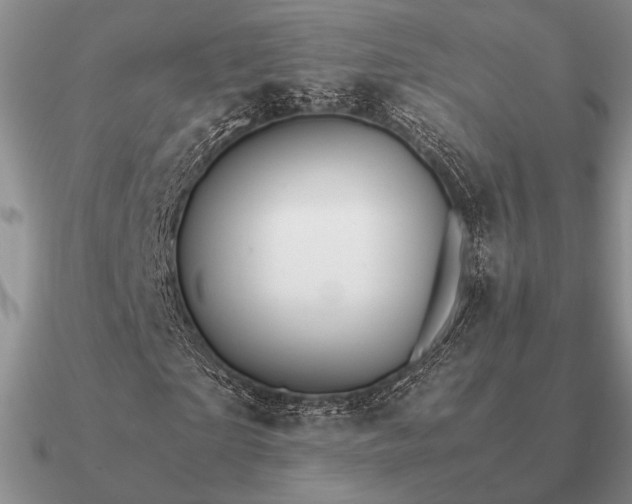 X0000090920865200708061541