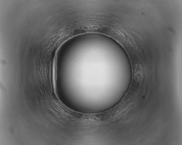 X0000090920866200708061541