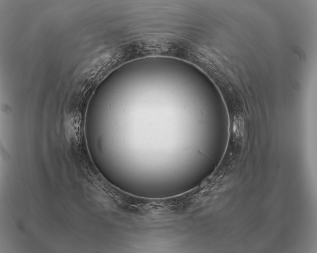 X0000090920867200708061541