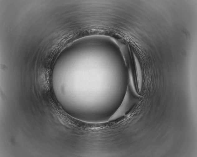 X0000090920868200708061541