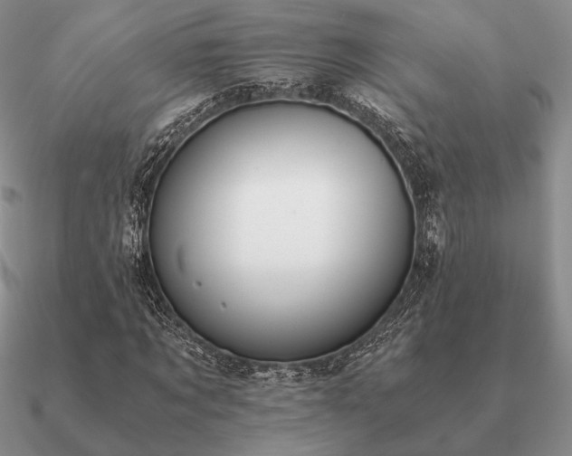 X0000090920869200708061541