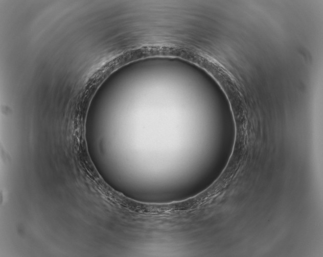 X0000090920870200708061541