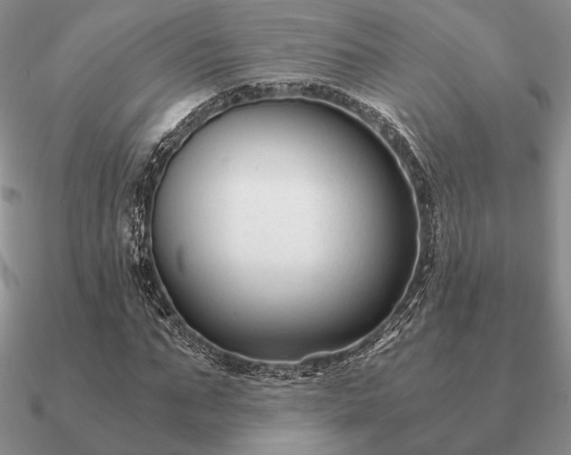 X0000090920871200708061541