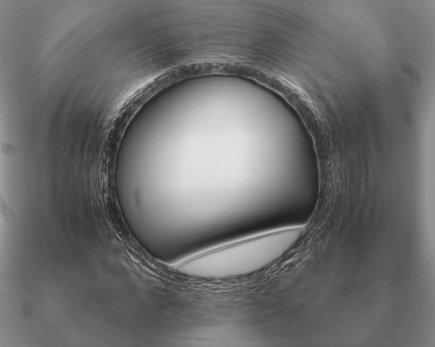 X0000090920872200708061541