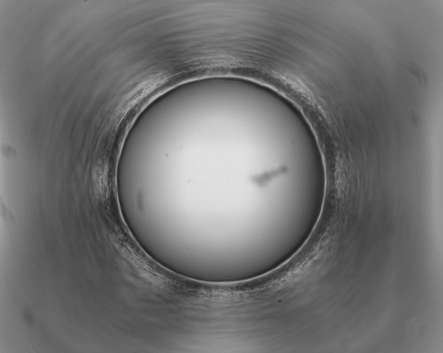 X0000090920873200708061541