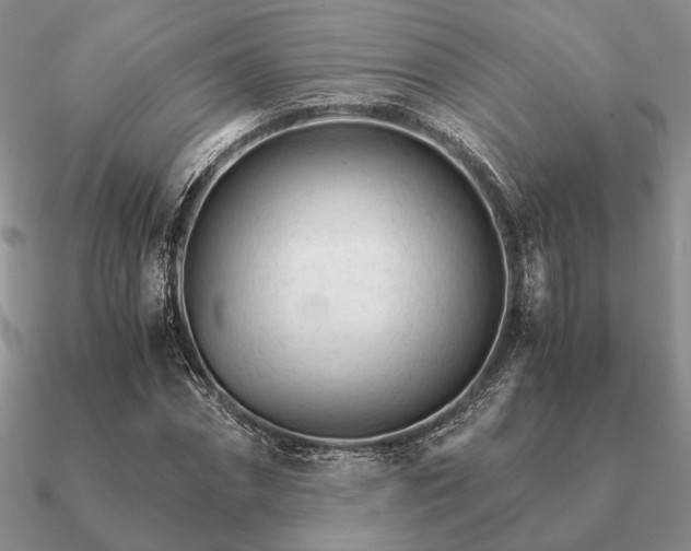 X0000090920874200708061541