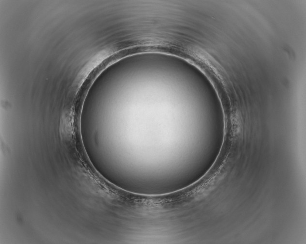 X0000090920875200708061541