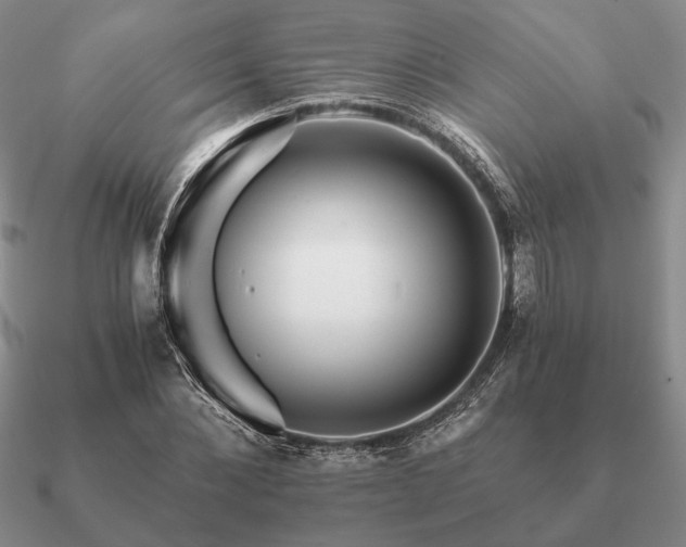 X0000090920876200708061541