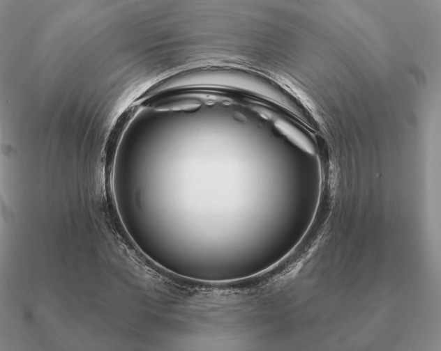 X0000090920877200708061541