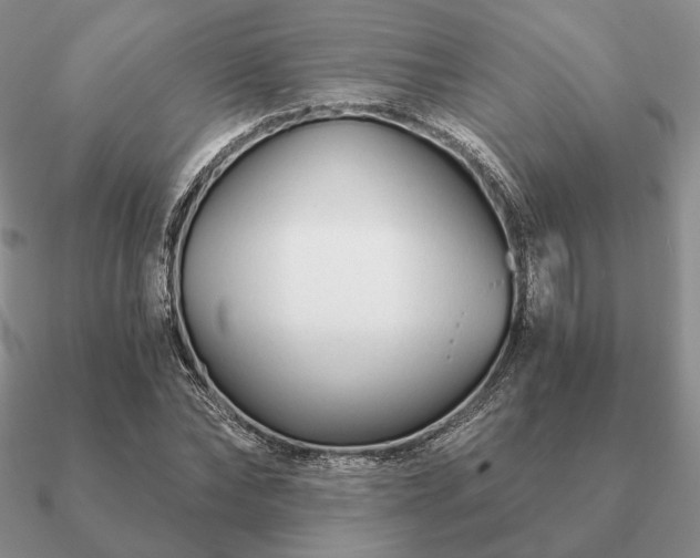 X0000090920878200708061541