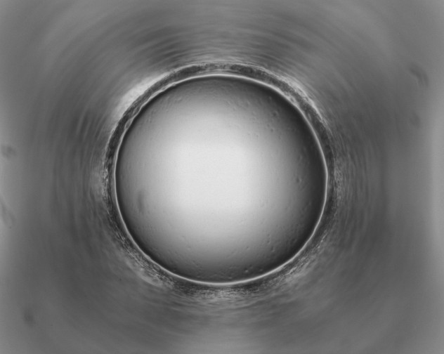 X0000090920879200708061541