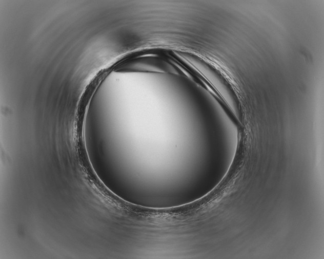 X0000090920880200708061541