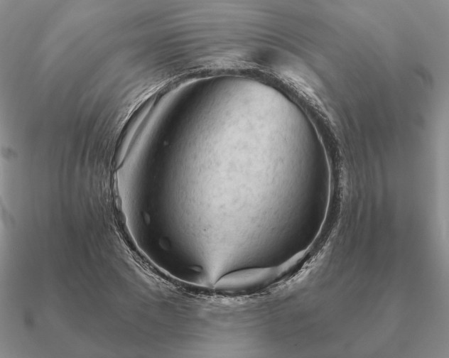 X0000090920881200708061541