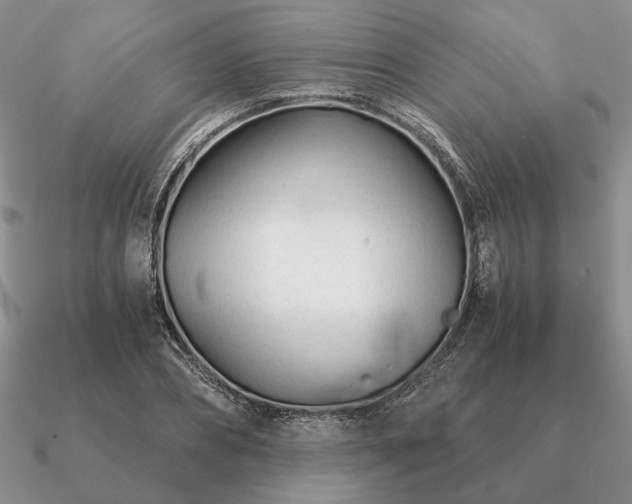 X0000090920882200708061541