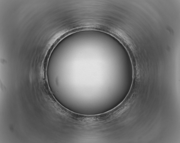 X0000090920883200708061541