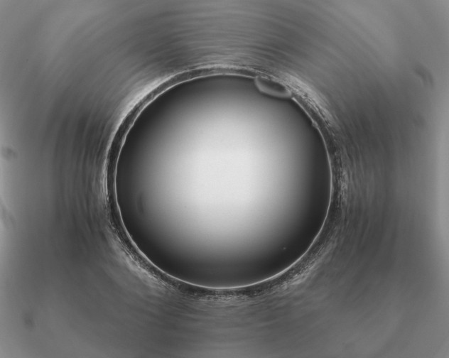 X0000090920884200708061541