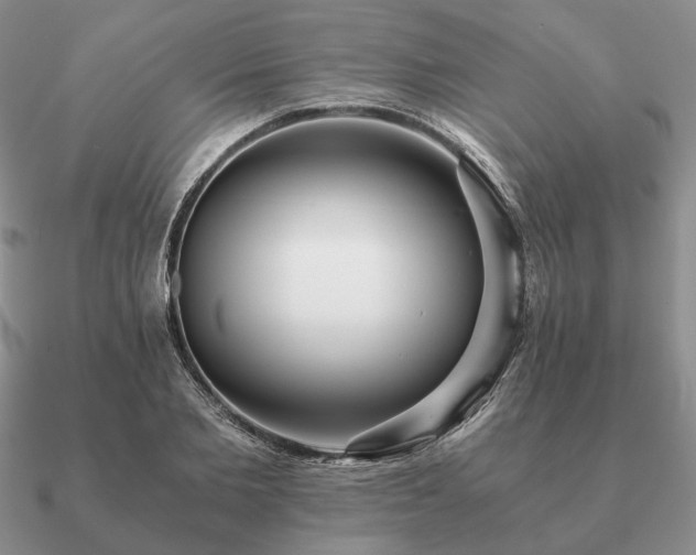 X0000090920885200708061541