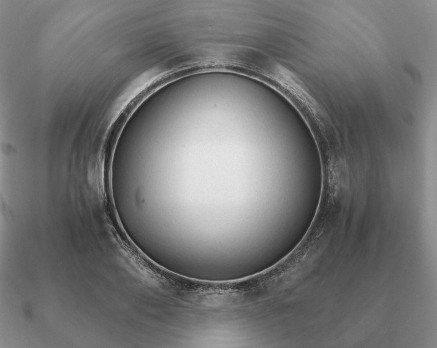 X0000090920886200708061541