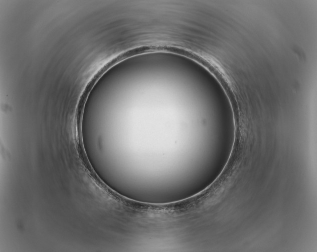 X0000090920887200708061541