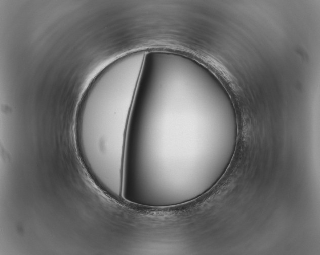 X0000090920888200708061541