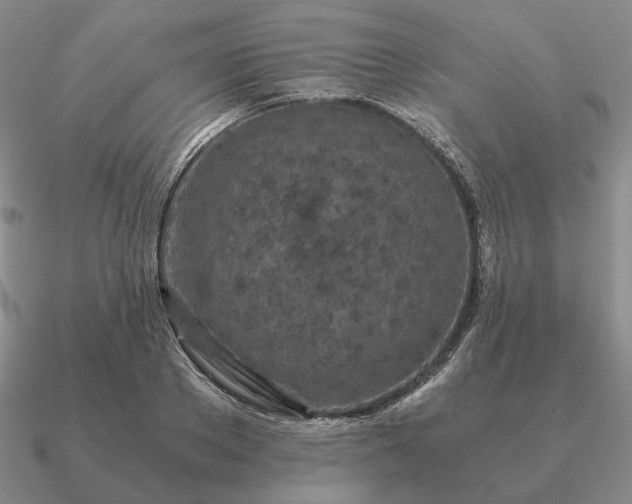 X0000090920889200708061541