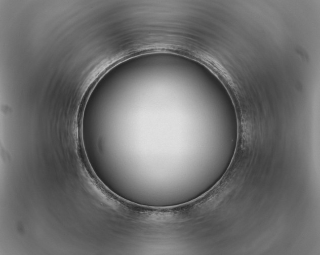 X0000090920890200708061541