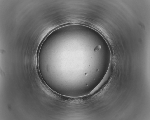 X0000090920891200708061541