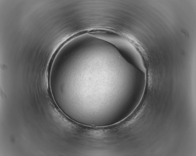 X0000090920892200708061541