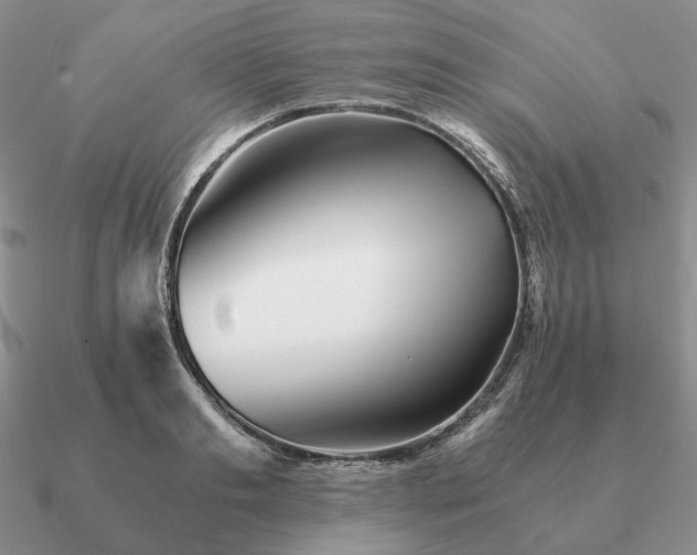 X0000090920893200708061540