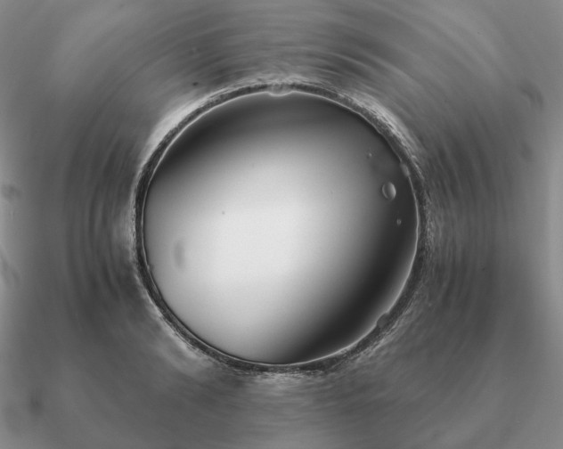 X0000090920894200708061540