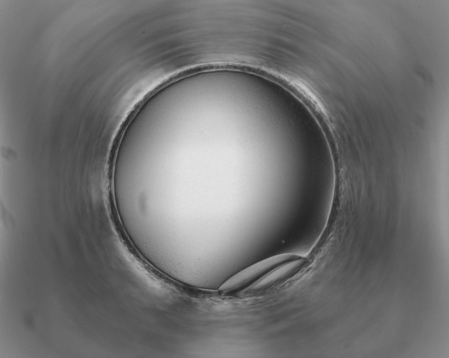 X0000090920895200708061540