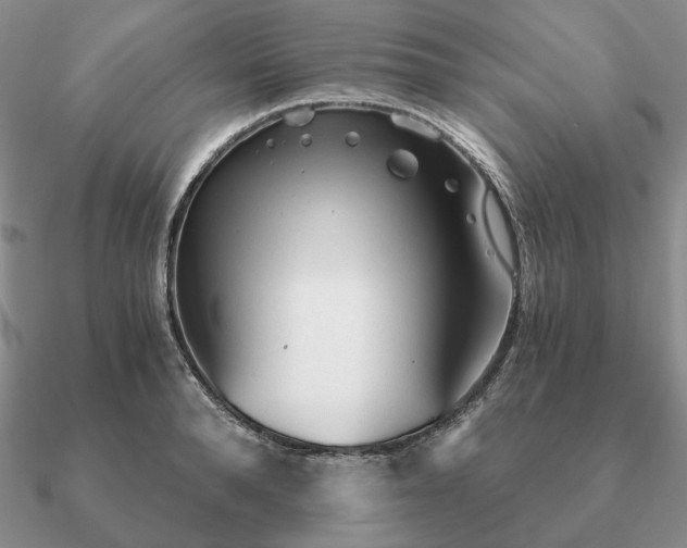 X0000090920896200708061540