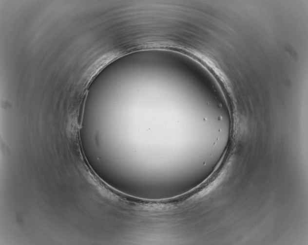 X0000090920897200708061540