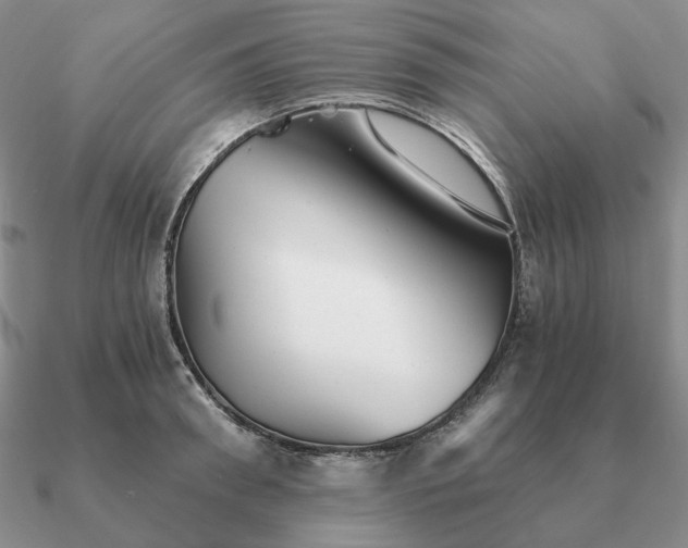 X0000090920898200708061540