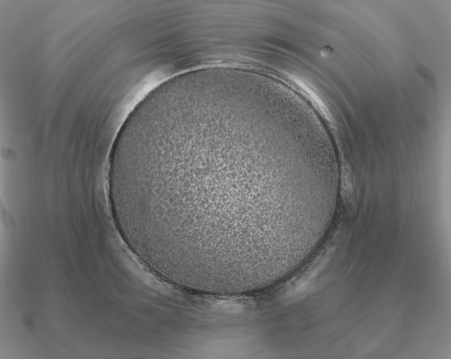 X0000090920899200708061540