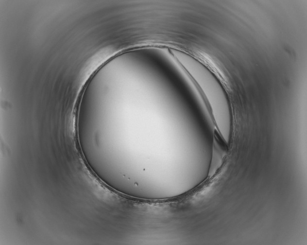 X0000090920900200708061540