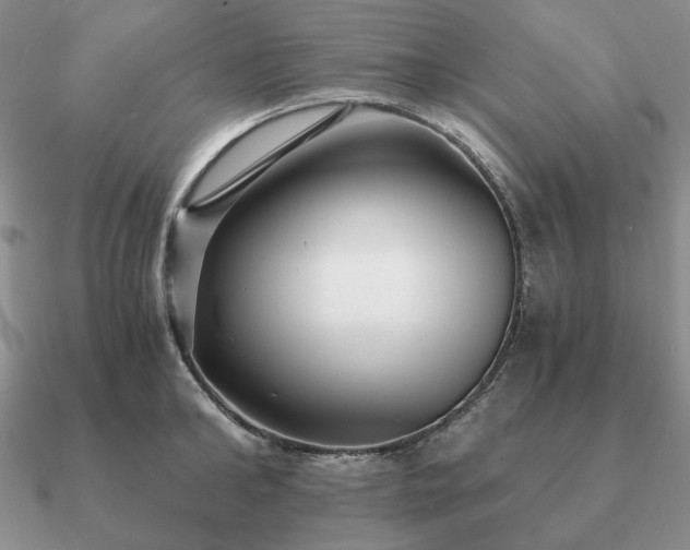 X0000090920902200708061540