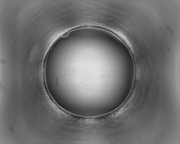 X0000090920903200708061540