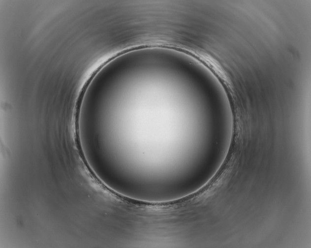 X0000090920904200708061540