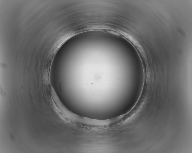 X0000090920905200708061540