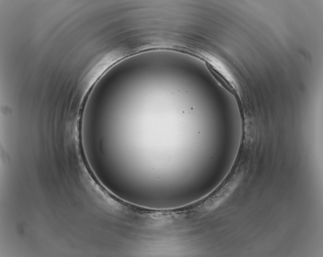 X0000090920906200708061540