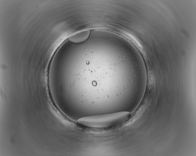 X0000090920907200708061540