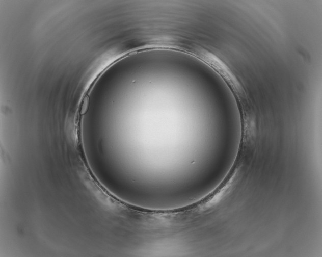 X0000090920908200708061540