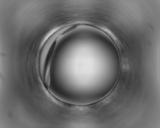 X0000090920910200708061540